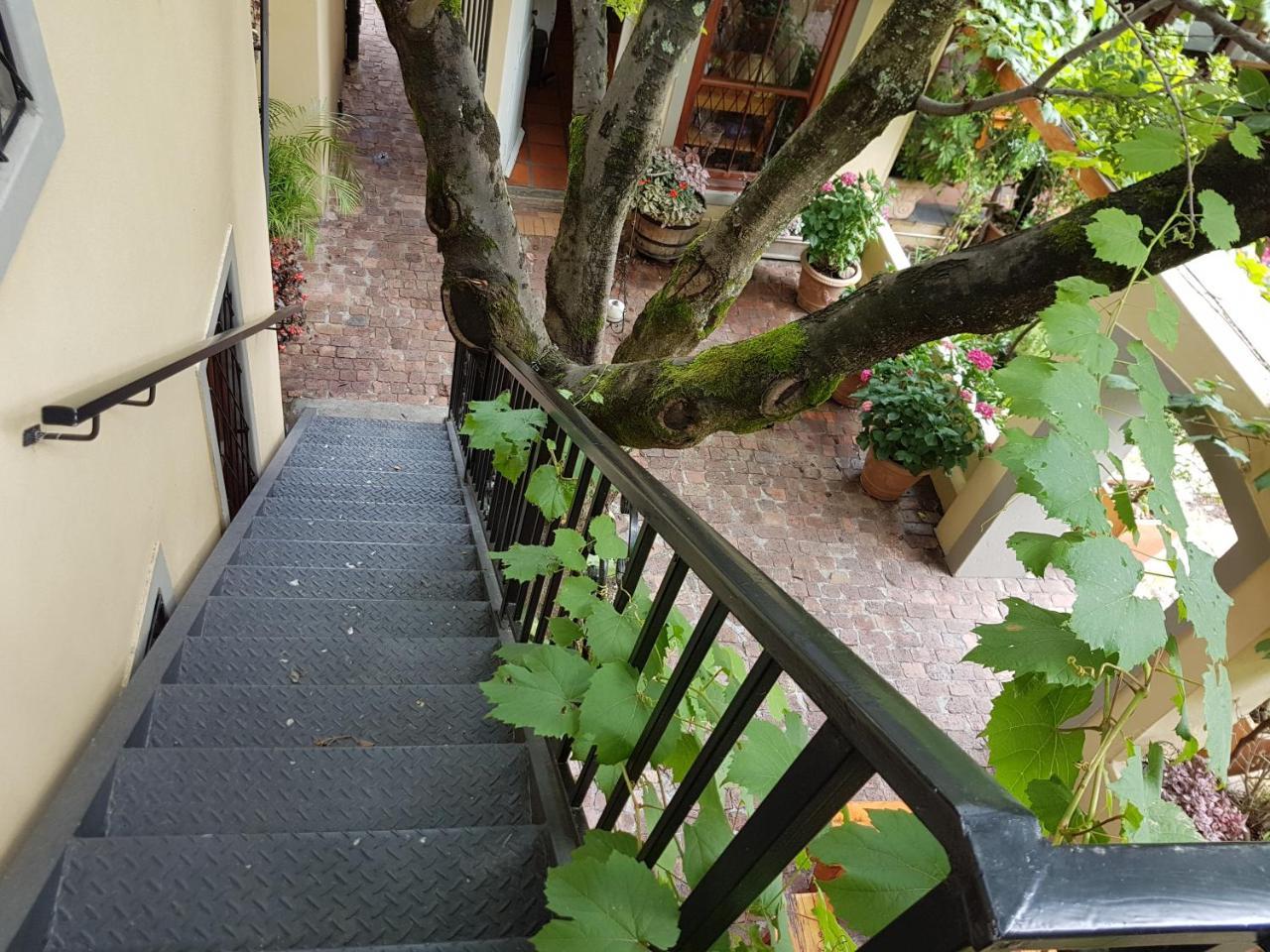 10 Alexander B&B Stellenbosch Exterior photo